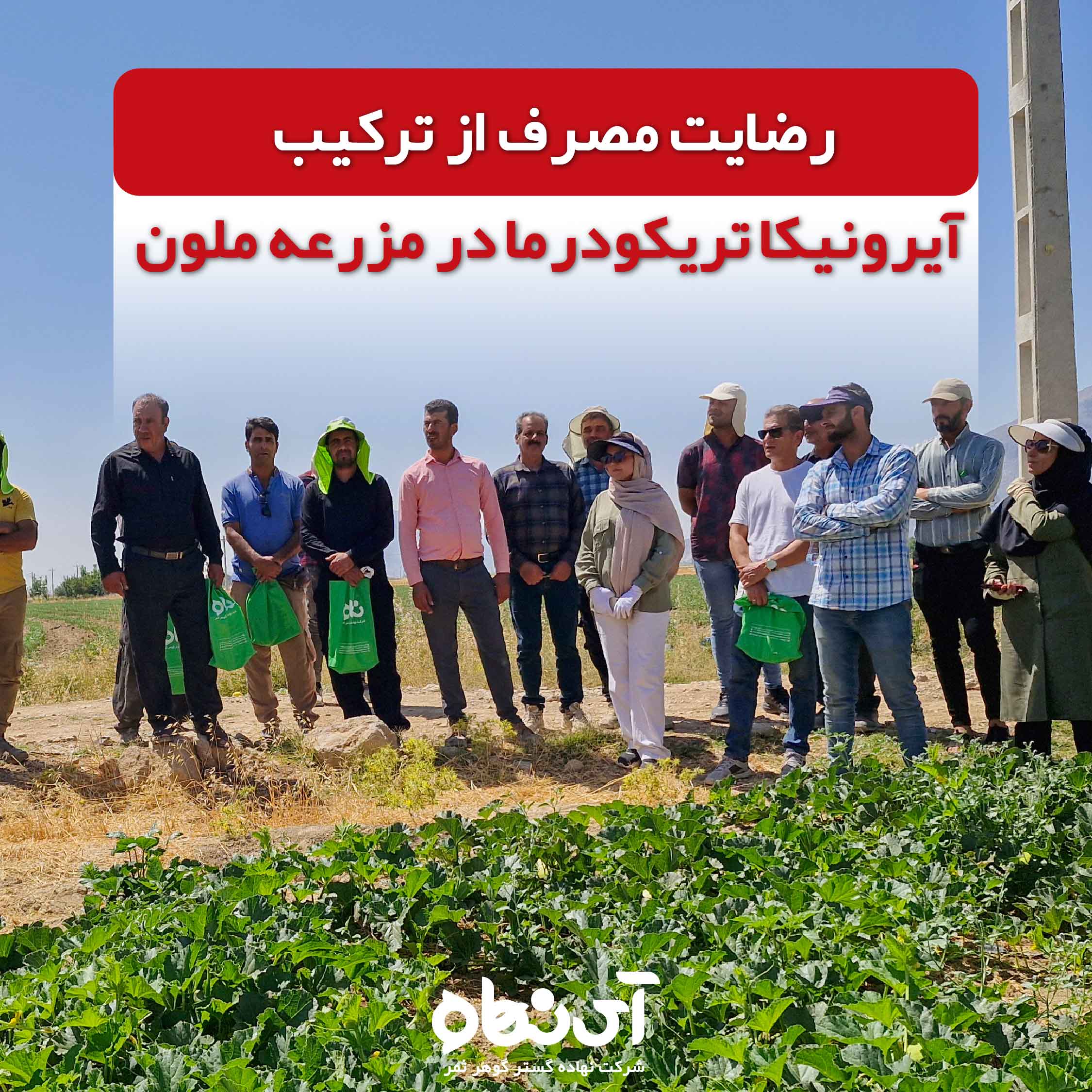 رضایت مصرف از ترکیب آیرونیکا تریکودرما در مزرعه ملون